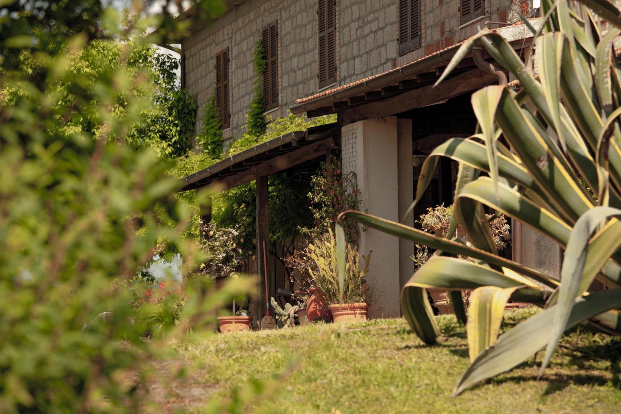 Agriturismo Bio Aia Della Colonna Saturnia Ngoại thất bức ảnh